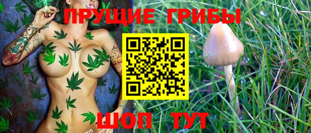 Псилоцибиновые грибы Magic Shrooms  Галлюциногенные грибы прущие грибы  Ливны  Вход с VPN 