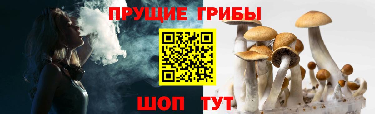 Галлюциногенные грибы Psilocybe Ливны